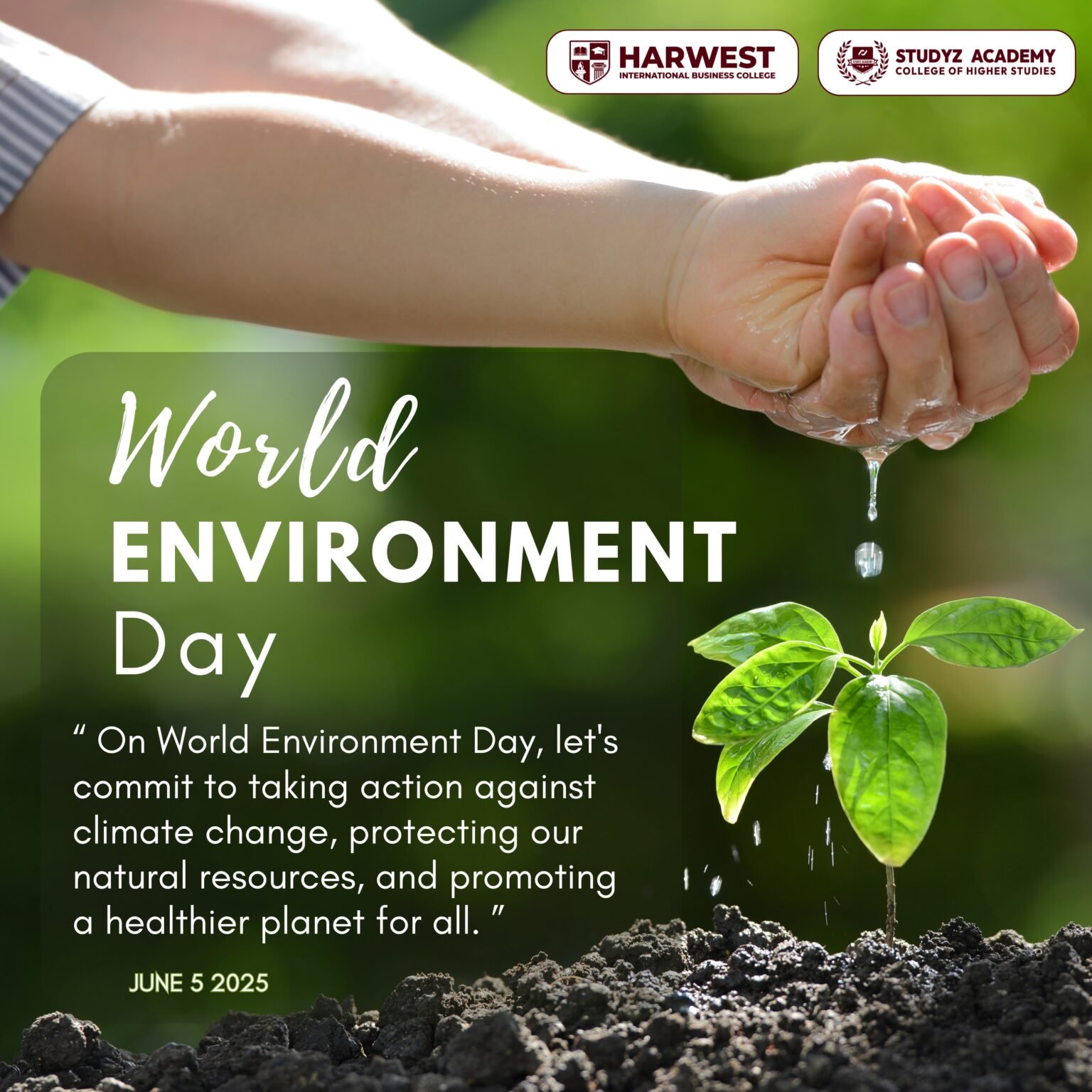 World Environment Day – A Call For Action And Awareness - STUDYZ ACADEMY
